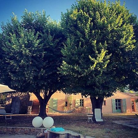 Bastide Provencale De Charme A La Cote D'Azur Villa Callian  Exterior photo